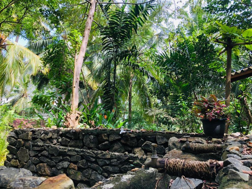 Hidden Well Hiriketiya Dickwella Exterior foto