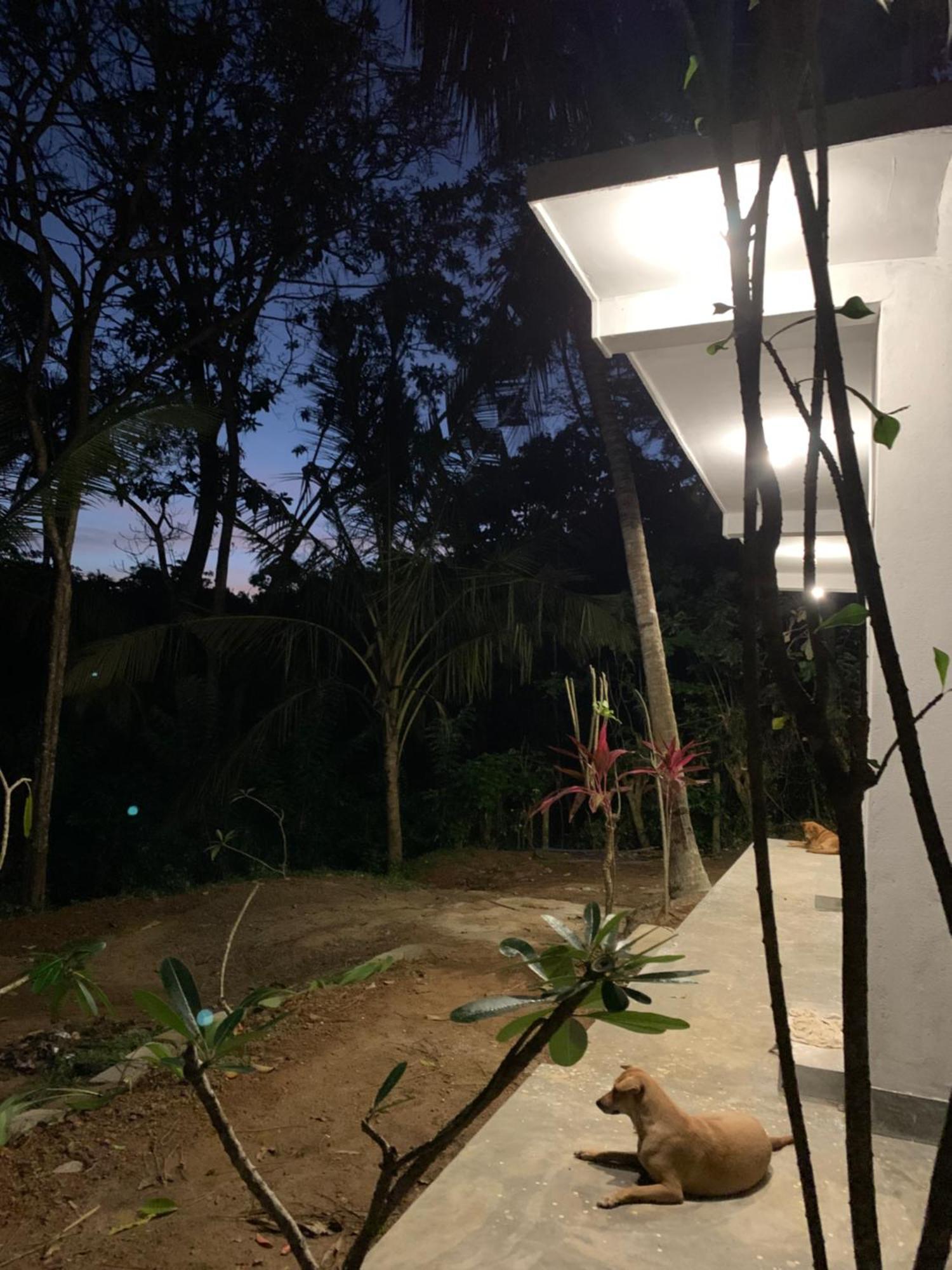 Hidden Well Hiriketiya Dickwella Exterior foto